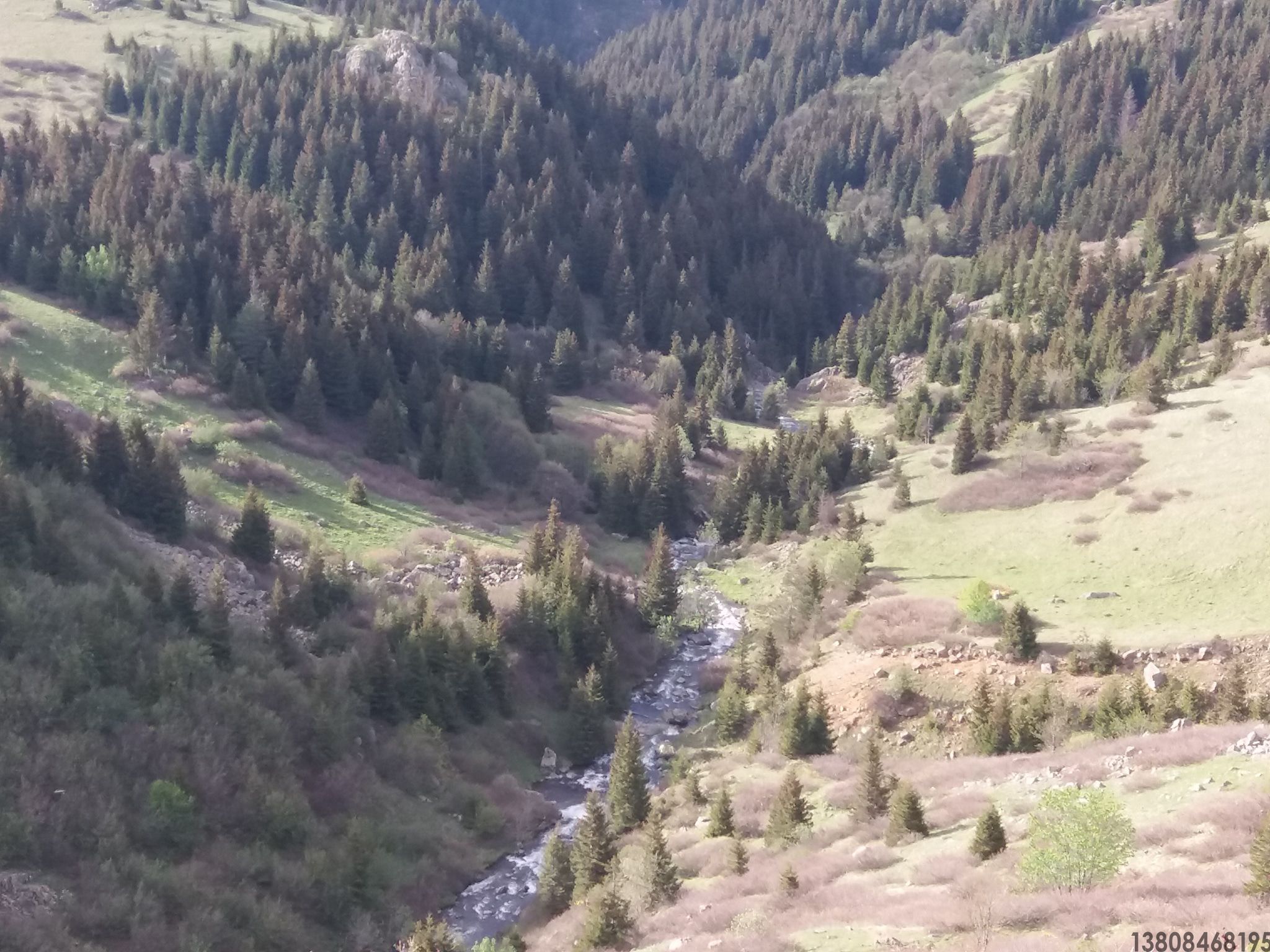 水錘泵(圖4) 水錘泵(圖4)